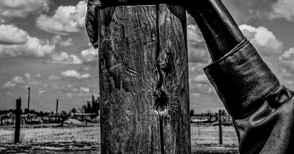 Five themes of geography essay image