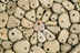 Circular formation of rocks