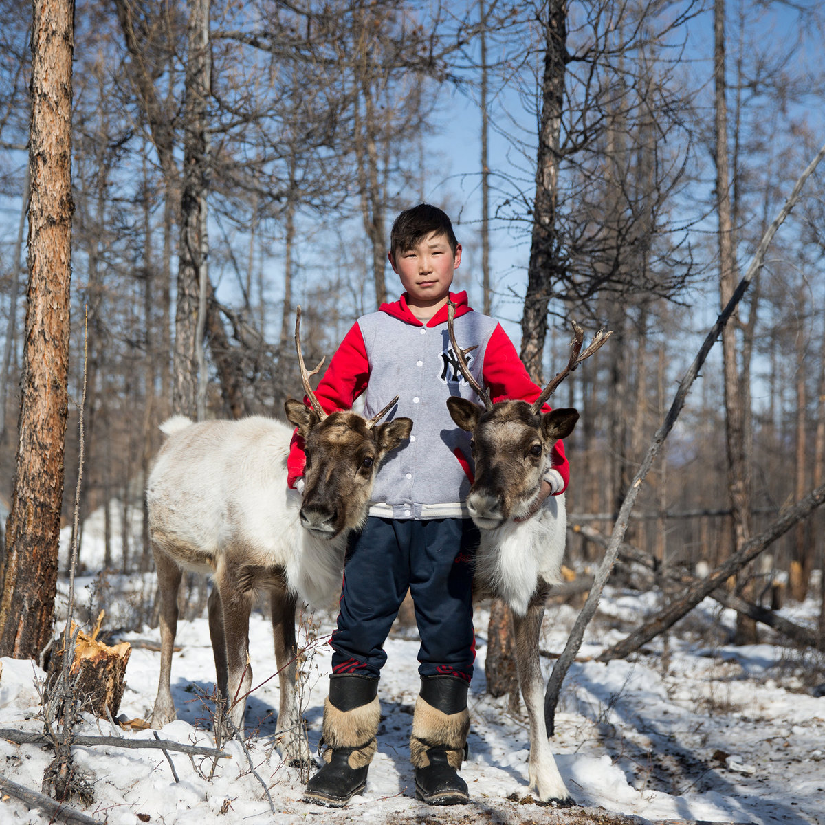 Mongolian Reindeer Herders Defend Traditions | Global ...