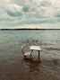 School desk in shallow water