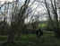 Dancer in the forest