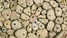 Circular formation of rocks