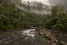 Forested gorge