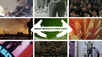 compilation of images